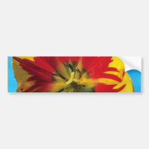 Rouge choisissez la tulipe en retard, des fleurs " adhésif pour voiture