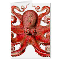 Rouge de poulpe de Haeckel Carte De Vœux
