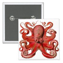 Rouge de poulpe de Haeckel Pin's