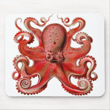 Rouge de poulpe de Haeckel Tapis De Souris