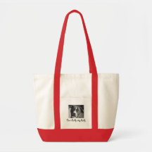 Rouge/image de sac fourre-tout