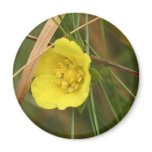 rough buttercup refrigerator magnets