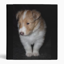 Rough collie binder