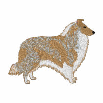 Rough Collie