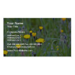 Rough hawkbit (Leontodon Hispidus)  flowers Business Card Templates