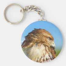 Rough-legged Hawk Keychain