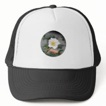 ROUND around Mesh Hat