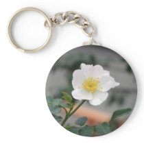ROUND around Key Chain