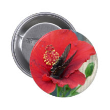 round button with butterfly on red flower