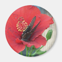 round magnet with butterfly on red flower