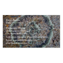 Round shaped lichen on granite business card