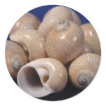 Round Stickers