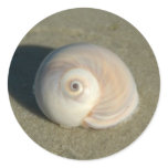Round Stickers