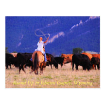 Round Up in Johnson County, Wyoming Postcards
