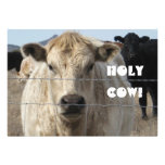 Roundup Time!  Holy Cow - Open House Personalized Invitation