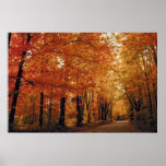 Route d'automne posters