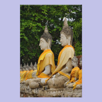 Row of Buddha statues, Wat Yai Chaya Mongkol photography