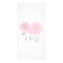 Row of Pink Dahlias Custom Photo Card