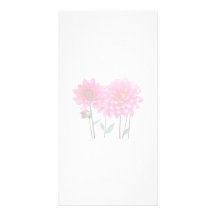 Row of Pink Dahlias Customized Photo Card