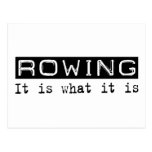 Rowing It Is Post Cards