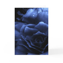 Royal Blue Close Up of a Double Begonia Card