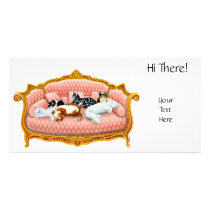 Royal Cat Nap Photo Card