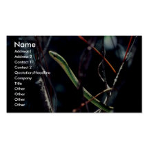 Royal Green Snake Business Card