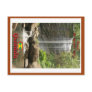 Royal Mt Carmel Falls Post Card