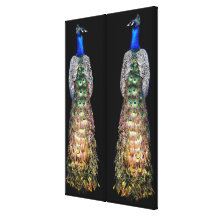 Royal Peacocks Stretched Prints Gallery Wrapped Canvas