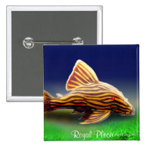 Royal Pleco Pin