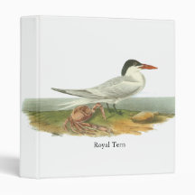 Royal Tern, John Audubon 3 Ring Binders