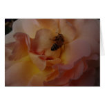 Royal Wedding Rose with Bee Greeting Card