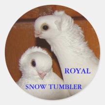 RST PAIR HEADS, ROYAL, SNOW TUMBLER ROUND STICKERS