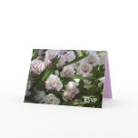 RSVP Blushing Orchids Invitation Card