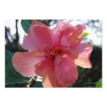 RSVP Bridal Shower Pink Flower Announcement