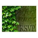 RSVP Event And Wedding Invitation Postcard