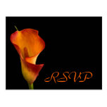 RSVP insert Post Cards
