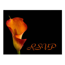 RSVP insert Post Cards