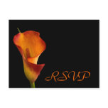 RSVP insert Post Cards