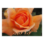 RSVP Orange Rose Invite
