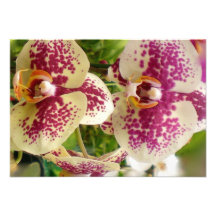 RSVP Wedding Tropical Orchid Personalized Announcement