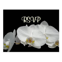 RSVP White Orchids on Black Postcards