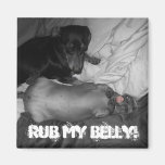Rub my belly! refrigerator magnet