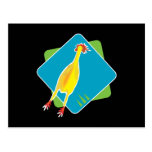 rubber chicken post cards