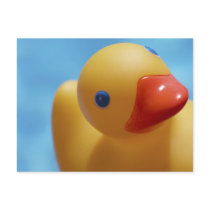 Rubber Duck Close-Up Postcard