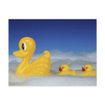 Rubber Duck Family Post Card