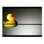 Rubber Duck Floating Postcards