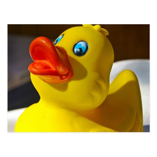 Rubber Duck Post Card