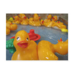 Rubber Duckies