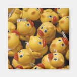 Rubber Ducky - Magnet